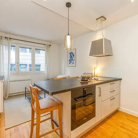Apartment Centre Grenoble, Charmant, Avec